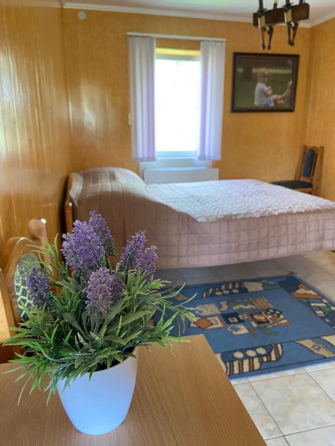 Constancia Hotel Kamjanyi Potoki Kültér fotó