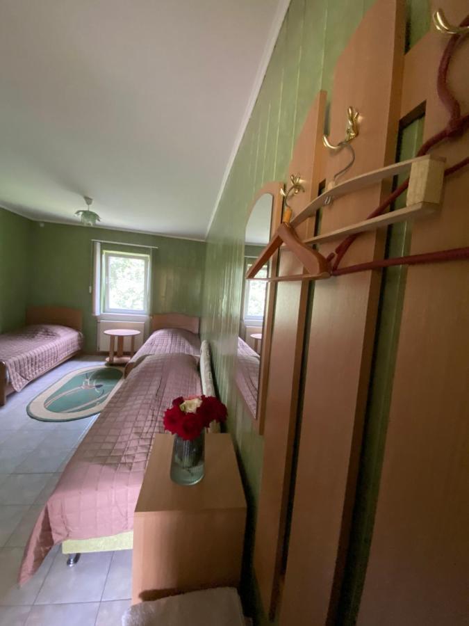 Constancia Hotel Kamjanyi Potoki Kültér fotó