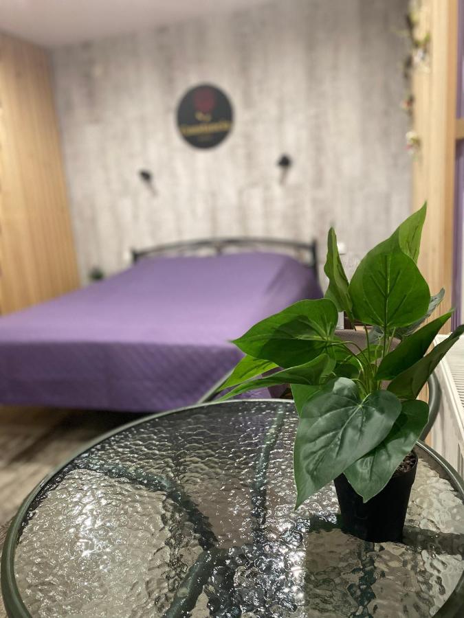 Constancia Hotel Kamjanyi Potoki Kültér fotó