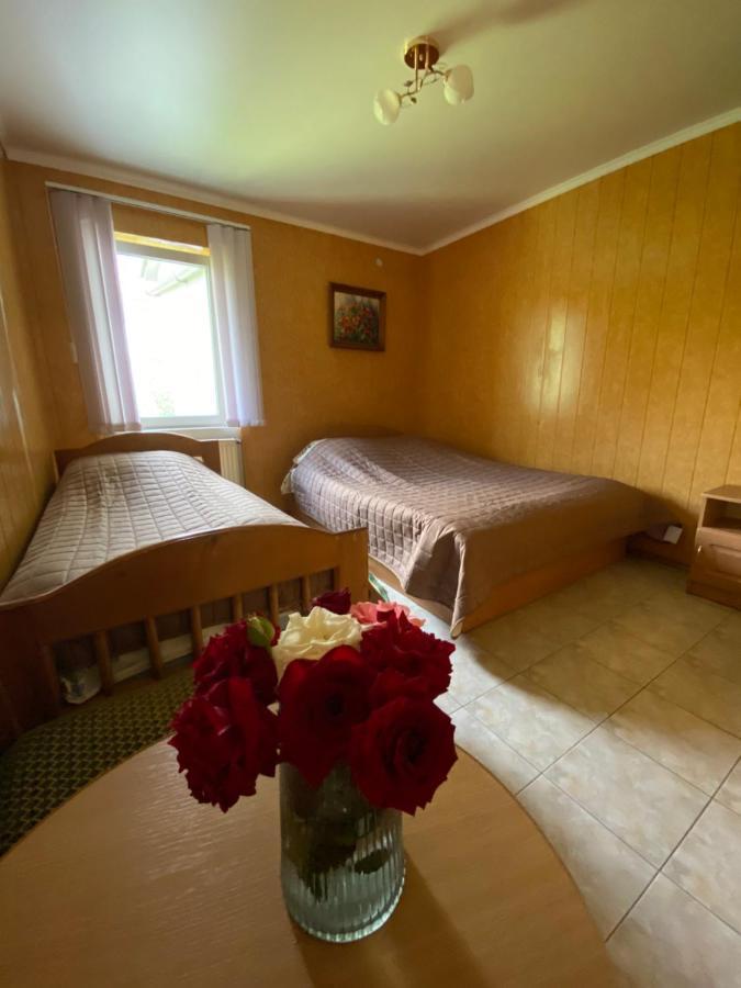 Constancia Hotel Kamjanyi Potoki Kültér fotó